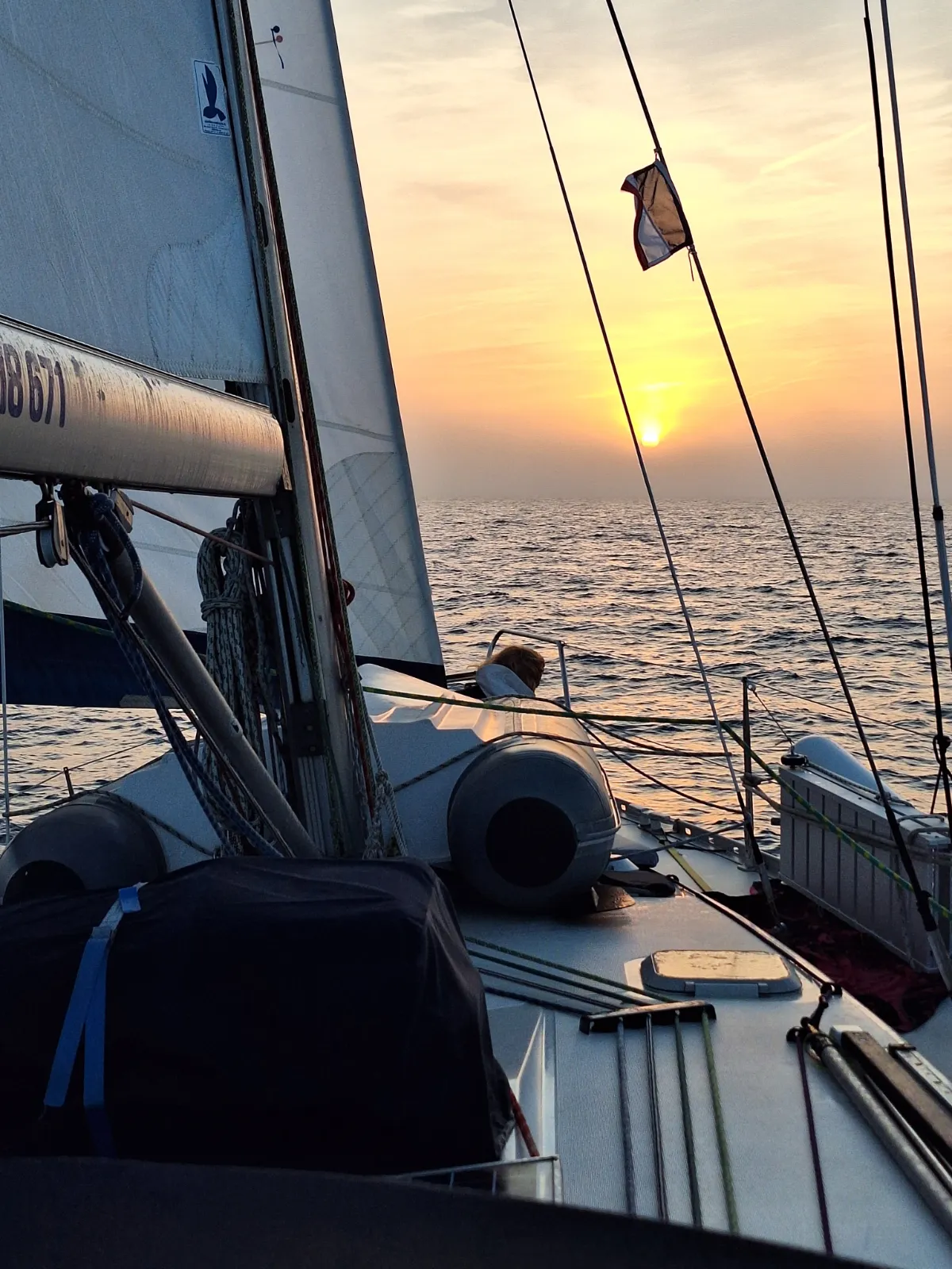 DL Sailing - imagen 1